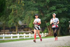 BIB: 2537, 2019
                            <button type="button" onclick="openModal(6339056)" class="btn btn-primary btn-sm float-right btn-popup" data-toggle="modal" data-target=".modal-high-quality">
                        <i class="fas fa-shopping-cart"></i> Add to Cart
                    </button>
                                            <button type="button" onclick="isThisMe(6339056, true)" class="btn btn-success btn-sm float-right btn-popup btn-isme hidden" data-toggle="tooltip" data-placement="bottom" title="นี่คือรูปของคุณใช่ไหม คลิกที่นี่เพื่อเอาเข้าอัลบั้ม">
                        <i class="fas fa-plus"></i> Add to album
                    </button>
                    <button type="button" onclick="isThisMe(6339056, false)" class="btn btn-warning btn-sm float-right btn-popup btn-isnotme hidden">
                        <i class="fas fa-ban"></i> Remove from album
                    </button>