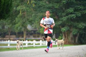 BIB: 2446
                            <button type="button" onclick="openModal(6338346)" class="btn btn-primary btn-sm float-right btn-popup" data-toggle="modal" data-target=".modal-high-quality">
                        <i class="fas fa-shopping-cart"></i> Add to Cart
                    </button>
                                            <button type="button" onclick="isThisMe(6338346, true)" class="btn btn-success btn-sm float-right btn-popup btn-isme hidden" data-toggle="tooltip" data-placement="bottom" title="นี่คือรูปของคุณใช่ไหม คลิกที่นี่เพื่อเอาเข้าอัลบั้ม">
                        <i class="fas fa-plus"></i> Add to album
                    </button>
                    <button type="button" onclick="isThisMe(6338346, false)" class="btn btn-warning btn-sm float-right btn-popup btn-isnotme hidden">
                        <i class="fas fa-ban"></i> Remove from album
                    </button>