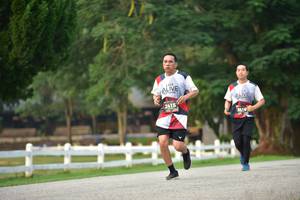 BIB: 2415, 2416
                            <button type="button" onclick="openModal(6338987)" class="btn btn-primary btn-sm float-right btn-popup" data-toggle="modal" data-target=".modal-high-quality">
                        <i class="fas fa-shopping-cart"></i> Add to Cart
                    </button>
                                            <button type="button" onclick="isThisMe(6338987, true)" class="btn btn-success btn-sm float-right btn-popup btn-isme hidden" data-toggle="tooltip" data-placement="bottom" title="นี่คือรูปของคุณใช่ไหม คลิกที่นี่เพื่อเอาเข้าอัลบั้ม">
                        <i class="fas fa-plus"></i> Add to album
                    </button>
                    <button type="button" onclick="isThisMe(6338987, false)" class="btn btn-warning btn-sm float-right btn-popup btn-isnotme hidden">
                        <i class="fas fa-ban"></i> Remove from album
                    </button>