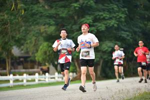 BIB: 3030, 2841
                            <button type="button" onclick="openModal(6338838)" class="btn btn-primary btn-sm float-right btn-popup" data-toggle="modal" data-target=".modal-high-quality">
                        <i class="fas fa-shopping-cart"></i> Add to Cart
                    </button>
                                            <button type="button" onclick="isThisMe(6338838, true)" class="btn btn-success btn-sm float-right btn-popup btn-isme hidden" data-toggle="tooltip" data-placement="bottom" title="นี่คือรูปของคุณใช่ไหม คลิกที่นี่เพื่อเอาเข้าอัลบั้ม">
                        <i class="fas fa-plus"></i> Add to album
                    </button>
                    <button type="button" onclick="isThisMe(6338838, false)" class="btn btn-warning btn-sm float-right btn-popup btn-isnotme hidden">
                        <i class="fas fa-ban"></i> Remove from album
                    </button>