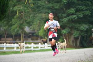 BIB: 2446
                            <button type="button" onclick="openModal(6338344)" class="btn btn-primary btn-sm float-right btn-popup" data-toggle="modal" data-target=".modal-high-quality">
                        <i class="fas fa-shopping-cart"></i> Add to Cart
                    </button>
                                            <button type="button" onclick="isThisMe(6338344, true)" class="btn btn-success btn-sm float-right btn-popup btn-isme hidden" data-toggle="tooltip" data-placement="bottom" title="นี่คือรูปของคุณใช่ไหม คลิกที่นี่เพื่อเอาเข้าอัลบั้ม">
                        <i class="fas fa-plus"></i> Add to album
                    </button>
                    <button type="button" onclick="isThisMe(6338344, false)" class="btn btn-warning btn-sm float-right btn-popup btn-isnotme hidden">
                        <i class="fas fa-ban"></i> Remove from album
                    </button>