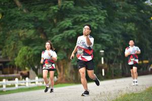 BIB: 033, 2510, 
                            <button type="button" onclick="openModal(6339108)" class="btn btn-primary btn-sm float-right btn-popup" data-toggle="modal" data-target=".modal-high-quality">
                        <i class="fas fa-shopping-cart"></i> Add to Cart
                    </button>
                                            <button type="button" onclick="isThisMe(6339108, true)" class="btn btn-success btn-sm float-right btn-popup btn-isme hidden" data-toggle="tooltip" data-placement="bottom" title="นี่คือรูปของคุณใช่ไหม คลิกที่นี่เพื่อเอาเข้าอัลบั้ม">
                        <i class="fas fa-plus"></i> Add to album
                    </button>
                    <button type="button" onclick="isThisMe(6339108, false)" class="btn btn-warning btn-sm float-right btn-popup btn-isnotme hidden">
                        <i class="fas fa-ban"></i> Remove from album
                    </button>