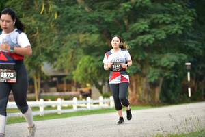 BIB: 3141, 2873
                            <button type="button" onclick="openModal(6339332)" class="btn btn-primary btn-sm float-right btn-popup" data-toggle="modal" data-target=".modal-high-quality">
                        <i class="fas fa-shopping-cart"></i> Add to Cart
                    </button>
                                            <button type="button" onclick="isThisMe(6339332, true)" class="btn btn-success btn-sm float-right btn-popup btn-isme hidden" data-toggle="tooltip" data-placement="bottom" title="นี่คือรูปของคุณใช่ไหม คลิกที่นี่เพื่อเอาเข้าอัลบั้ม">
                        <i class="fas fa-plus"></i> Add to album
                    </button>
                    <button type="button" onclick="isThisMe(6339332, false)" class="btn btn-warning btn-sm float-right btn-popup btn-isnotme hidden">
                        <i class="fas fa-ban"></i> Remove from album
                    </button>