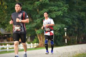 BIB: 2869, 2186
                            <button type="button" onclick="openModal(6339545)" class="btn btn-primary btn-sm float-right btn-popup" data-toggle="modal" data-target=".modal-high-quality">
                        <i class="fas fa-shopping-cart"></i> Add to Cart
                    </button>
                                            <button type="button" onclick="isThisMe(6339545, true)" class="btn btn-success btn-sm float-right btn-popup btn-isme hidden" data-toggle="tooltip" data-placement="bottom" title="นี่คือรูปของคุณใช่ไหม คลิกที่นี่เพื่อเอาเข้าอัลบั้ม">
                        <i class="fas fa-plus"></i> Add to album
                    </button>
                    <button type="button" onclick="isThisMe(6339545, false)" class="btn btn-warning btn-sm float-right btn-popup btn-isnotme hidden">
                        <i class="fas fa-ban"></i> Remove from album
                    </button>