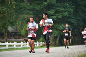 BIB: 2824, 3135
                            <button type="button" onclick="openModal(6338485)" class="btn btn-primary btn-sm float-right btn-popup" data-toggle="modal" data-target=".modal-high-quality">
                        <i class="fas fa-shopping-cart"></i> Add to Cart
                    </button>
                                            <button type="button" onclick="isThisMe(6338485, true)" class="btn btn-success btn-sm float-right btn-popup btn-isme hidden" data-toggle="tooltip" data-placement="bottom" title="นี่คือรูปของคุณใช่ไหม คลิกที่นี่เพื่อเอาเข้าอัลบั้ม">
                        <i class="fas fa-plus"></i> Add to album
                    </button>
                    <button type="button" onclick="isThisMe(6338485, false)" class="btn btn-warning btn-sm float-right btn-popup btn-isnotme hidden">
                        <i class="fas fa-ban"></i> Remove from album
                    </button>