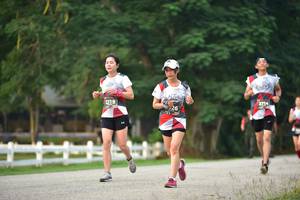 BIB: 2219, 2714
                            <button type="button" onclick="openModal(6338802)" class="btn btn-primary btn-sm float-right btn-popup" data-toggle="modal" data-target=".modal-high-quality">
                        <i class="fas fa-shopping-cart"></i> Add to Cart
                    </button>
                                            <button type="button" onclick="isThisMe(6338802, true)" class="btn btn-success btn-sm float-right btn-popup btn-isme hidden" data-toggle="tooltip" data-placement="bottom" title="นี่คือรูปของคุณใช่ไหม คลิกที่นี่เพื่อเอาเข้าอัลบั้ม">
                        <i class="fas fa-plus"></i> Add to album
                    </button>
                    <button type="button" onclick="isThisMe(6338802, false)" class="btn btn-warning btn-sm float-right btn-popup btn-isnotme hidden">
                        <i class="fas fa-ban"></i> Remove from album
                    </button>