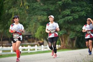 BIB: 2537, 2019, 2155
                            <button type="button" onclick="openModal(6339057)" class="btn btn-primary btn-sm float-right btn-popup" data-toggle="modal" data-target=".modal-high-quality">
                        <i class="fas fa-shopping-cart"></i> Add to Cart
                    </button>
                                            <button type="button" onclick="isThisMe(6339057, true)" class="btn btn-success btn-sm float-right btn-popup btn-isme hidden" data-toggle="tooltip" data-placement="bottom" title="นี่คือรูปของคุณใช่ไหม คลิกที่นี่เพื่อเอาเข้าอัลบั้ม">
                        <i class="fas fa-plus"></i> Add to album
                    </button>
                    <button type="button" onclick="isThisMe(6339057, false)" class="btn btn-warning btn-sm float-right btn-popup btn-isnotme hidden">
                        <i class="fas fa-ban"></i> Remove from album
                    </button>