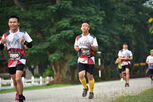 BIB: 2410, 2500
                            <button type="button" onclick="openModal(6338720)" class="btn btn-primary btn-sm float-right btn-popup" data-toggle="modal" data-target=".modal-high-quality">
                        <i class="fas fa-shopping-cart"></i> Add to Cart
                    </button>
                                            <button type="button" onclick="isThisMe(6338720, true)" class="btn btn-success btn-sm float-right btn-popup btn-isme hidden" data-toggle="tooltip" data-placement="bottom" title="นี่คือรูปของคุณใช่ไหม คลิกที่นี่เพื่อเอาเข้าอัลบั้ม">
                        <i class="fas fa-plus"></i> Add to album
                    </button>
                    <button type="button" onclick="isThisMe(6338720, false)" class="btn btn-warning btn-sm float-right btn-popup btn-isnotme hidden">
                        <i class="fas fa-ban"></i> Remove from album
                    </button>