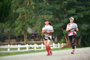 BIB: 2537, 2019
                            <button type="button" onclick="openModal(6339058)" class="btn btn-primary btn-sm float-right btn-popup" data-toggle="modal" data-target=".modal-high-quality">
                        <i class="fas fa-shopping-cart"></i> Add to Cart
                    </button>
                                            <button type="button" onclick="isThisMe(6339058, true)" class="btn btn-success btn-sm float-right btn-popup btn-isme hidden" data-toggle="tooltip" data-placement="bottom" title="นี่คือรูปของคุณใช่ไหม คลิกที่นี่เพื่อเอาเข้าอัลบั้ม">
                        <i class="fas fa-plus"></i> Add to album
                    </button>
                    <button type="button" onclick="isThisMe(6339058, false)" class="btn btn-warning btn-sm float-right btn-popup btn-isnotme hidden">
                        <i class="fas fa-ban"></i> Remove from album
                    </button>