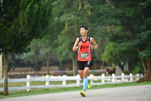 BIB: 2217
                            <button type="button" onclick="openModal(6338559)" class="btn btn-primary btn-sm float-right btn-popup" data-toggle="modal" data-target=".modal-high-quality">
                        <i class="fas fa-shopping-cart"></i> Add to Cart
                    </button>
                                            <button type="button" onclick="isThisMe(6338559, true)" class="btn btn-success btn-sm float-right btn-popup btn-isme hidden" data-toggle="tooltip" data-placement="bottom" title="นี่คือรูปของคุณใช่ไหม คลิกที่นี่เพื่อเอาเข้าอัลบั้ม">
                        <i class="fas fa-plus"></i> Add to album
                    </button>
                    <button type="button" onclick="isThisMe(6338559, false)" class="btn btn-warning btn-sm float-right btn-popup btn-isnotme hidden">
                        <i class="fas fa-ban"></i> Remove from album
                    </button>