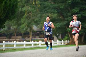 BIB: 2545, 2747
                            <button type="button" onclick="openModal(6338696)" class="btn btn-primary btn-sm float-right btn-popup" data-toggle="modal" data-target=".modal-high-quality">
                        <i class="fas fa-shopping-cart"></i> Add to Cart
                    </button>
                                            <button type="button" onclick="isThisMe(6338696, true)" class="btn btn-success btn-sm float-right btn-popup btn-isme hidden" data-toggle="tooltip" data-placement="bottom" title="นี่คือรูปของคุณใช่ไหม คลิกที่นี่เพื่อเอาเข้าอัลบั้ม">
                        <i class="fas fa-plus"></i> Add to album
                    </button>
                    <button type="button" onclick="isThisMe(6338696, false)" class="btn btn-warning btn-sm float-right btn-popup btn-isnotme hidden">
                        <i class="fas fa-ban"></i> Remove from album
                    </button>