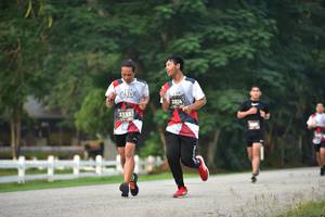 BIB: 2824, 3135
                            <button type="button" onclick="openModal(6338484)" class="btn btn-primary btn-sm float-right btn-popup" data-toggle="modal" data-target=".modal-high-quality">
                        <i class="fas fa-shopping-cart"></i> Add to Cart
                    </button>
                                            <button type="button" onclick="isThisMe(6338484, true)" class="btn btn-success btn-sm float-right btn-popup btn-isme hidden" data-toggle="tooltip" data-placement="bottom" title="นี่คือรูปของคุณใช่ไหม คลิกที่นี่เพื่อเอาเข้าอัลบั้ม">
                        <i class="fas fa-plus"></i> Add to album
                    </button>
                    <button type="button" onclick="isThisMe(6338484, false)" class="btn btn-warning btn-sm float-right btn-popup btn-isnotme hidden">
                        <i class="fas fa-ban"></i> Remove from album
                    </button>