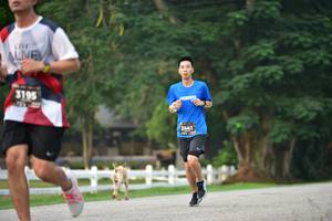 BIB: 3195, 2441
                            <button type="button" onclick="openModal(6338502)" class="btn btn-primary btn-sm float-right btn-popup" data-toggle="modal" data-target=".modal-high-quality">
                        <i class="fas fa-shopping-cart"></i> Add to Cart
                    </button>
                                            <button type="button" onclick="isThisMe(6338502, true)" class="btn btn-success btn-sm float-right btn-popup btn-isme hidden" data-toggle="tooltip" data-placement="bottom" title="นี่คือรูปของคุณใช่ไหม คลิกที่นี่เพื่อเอาเข้าอัลบั้ม">
                        <i class="fas fa-plus"></i> Add to album
                    </button>
                    <button type="button" onclick="isThisMe(6338502, false)" class="btn btn-warning btn-sm float-right btn-popup btn-isnotme hidden">
                        <i class="fas fa-ban"></i> Remove from album
                    </button>