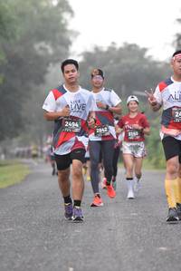 BIB: 2494, 2842, 3143
                            <button type="button" onclick="openModal(6372061)" class="btn btn-primary btn-sm float-right btn-popup" data-toggle="modal" data-target=".modal-high-quality">
                        <i class="fas fa-shopping-cart"></i> Add to Cart
                    </button>
                                            <button type="button" onclick="isThisMe(6372061, true)" class="btn btn-success btn-sm float-right btn-popup btn-isme hidden" data-toggle="tooltip" data-placement="bottom" title="นี่คือรูปของคุณใช่ไหม คลิกที่นี่เพื่อเอาเข้าอัลบั้ม">
                        <i class="fas fa-plus"></i> Add to album
                    </button>
                    <button type="button" onclick="isThisMe(6372061, false)" class="btn btn-warning btn-sm float-right btn-popup btn-isnotme hidden">
                        <i class="fas fa-ban"></i> Remove from album
                    </button>