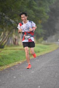 BIB: 2480, 
                            <button type="button" onclick="openModal(6371575)" class="btn btn-primary btn-sm float-right btn-popup" data-toggle="modal" data-target=".modal-high-quality">
                        <i class="fas fa-shopping-cart"></i> Add to Cart
                    </button>
                                            <button type="button" onclick="isThisMe(6371575, true)" class="btn btn-success btn-sm float-right btn-popup btn-isme hidden" data-toggle="tooltip" data-placement="bottom" title="นี่คือรูปของคุณใช่ไหม คลิกที่นี่เพื่อเอาเข้าอัลบั้ม">
                        <i class="fas fa-plus"></i> Add to album
                    </button>
                    <button type="button" onclick="isThisMe(6371575, false)" class="btn btn-warning btn-sm float-right btn-popup btn-isnotme hidden">
                        <i class="fas fa-ban"></i> Remove from album
                    </button>