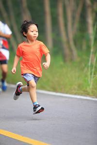 BIB: 
                            <button type="button" onclick="openModal(6358320)" class="btn btn-primary btn-sm float-right btn-popup" data-toggle="modal" data-target=".modal-high-quality">
                        <i class="fas fa-shopping-cart"></i> Add to Cart
                    </button>
                                            <button type="button" onclick="isThisMe(6358320, true)" class="btn btn-success btn-sm float-right btn-popup btn-isme hidden" data-toggle="tooltip" data-placement="bottom" title="นี่คือรูปของคุณใช่ไหม คลิกที่นี่เพื่อเอาเข้าอัลบั้ม">
                        <i class="fas fa-plus"></i> Add to album
                    </button>
                    <button type="button" onclick="isThisMe(6358320, false)" class="btn btn-warning btn-sm float-right btn-popup btn-isnotme hidden">
                        <i class="fas fa-ban"></i> Remove from album
                    </button>