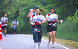 BIB: 3160, 2873
                            <button type="button" onclick="openModal(6370915)" class="btn btn-primary btn-sm float-right btn-popup" data-toggle="modal" data-target=".modal-high-quality">
                        <i class="fas fa-shopping-cart"></i> Add to Cart
                    </button>
                                            <button type="button" onclick="isThisMe(6370915, true)" class="btn btn-success btn-sm float-right btn-popup btn-isme hidden" data-toggle="tooltip" data-placement="bottom" title="นี่คือรูปของคุณใช่ไหม คลิกที่นี่เพื่อเอาเข้าอัลบั้ม">
                        <i class="fas fa-plus"></i> Add to album
                    </button>
                    <button type="button" onclick="isThisMe(6370915, false)" class="btn btn-warning btn-sm float-right btn-popup btn-isnotme hidden">
                        <i class="fas fa-ban"></i> Remove from album
                    </button>