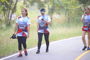 BIB: 6764, 6533, 6566
                            <button type="button" onclick="openModal(6358327)" class="btn btn-primary btn-sm float-right btn-popup" data-toggle="modal" data-target=".modal-high-quality">
                        <i class="fas fa-shopping-cart"></i> Add to Cart
                    </button>
                                            <button type="button" onclick="isThisMe(6358327, true)" class="btn btn-success btn-sm float-right btn-popup btn-isme hidden" data-toggle="tooltip" data-placement="bottom" title="นี่คือรูปของคุณใช่ไหม คลิกที่นี่เพื่อเอาเข้าอัลบั้ม">
                        <i class="fas fa-plus"></i> Add to album
                    </button>
                    <button type="button" onclick="isThisMe(6358327, false)" class="btn btn-warning btn-sm float-right btn-popup btn-isnotme hidden">
                        <i class="fas fa-ban"></i> Remove from album
                    </button>