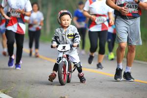 BIB: 6413, 
                            <button type="button" onclick="openModal(6356648)" class="btn btn-primary btn-sm float-right btn-popup" data-toggle="modal" data-target=".modal-high-quality">
                        <i class="fas fa-shopping-cart"></i> Add to Cart
                    </button>
                                            <button type="button" onclick="isThisMe(6356648, true)" class="btn btn-success btn-sm float-right btn-popup btn-isme hidden" data-toggle="tooltip" data-placement="bottom" title="นี่คือรูปของคุณใช่ไหม คลิกที่นี่เพื่อเอาเข้าอัลบั้ม">
                        <i class="fas fa-plus"></i> Add to album
                    </button>
                    <button type="button" onclick="isThisMe(6356648, false)" class="btn btn-warning btn-sm float-right btn-popup btn-isnotme hidden">
                        <i class="fas fa-ban"></i> Remove from album
                    </button>