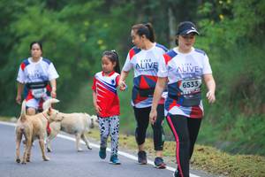 BIB: 6533
                            <button type="button" onclick="openModal(6368791)" class="btn btn-primary btn-sm float-right btn-popup" data-toggle="modal" data-target=".modal-high-quality">
                        <i class="fas fa-shopping-cart"></i> Add to Cart
                    </button>
                                            <button type="button" onclick="isThisMe(6368791, true)" class="btn btn-success btn-sm float-right btn-popup btn-isme hidden" data-toggle="tooltip" data-placement="bottom" title="นี่คือรูปของคุณใช่ไหม คลิกที่นี่เพื่อเอาเข้าอัลบั้ม">
                        <i class="fas fa-plus"></i> Add to album
                    </button>
                    <button type="button" onclick="isThisMe(6368791, false)" class="btn btn-warning btn-sm float-right btn-popup btn-isnotme hidden">
                        <i class="fas fa-ban"></i> Remove from album
                    </button>