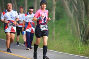 BIB: 6873, 6936
                            <button type="button" onclick="openModal(6356041)" class="btn btn-primary btn-sm float-right btn-popup" data-toggle="modal" data-target=".modal-high-quality">
                        <i class="fas fa-shopping-cart"></i> Add to Cart
                    </button>
                                            <button type="button" onclick="isThisMe(6356041, true)" class="btn btn-success btn-sm float-right btn-popup btn-isme hidden" data-toggle="tooltip" data-placement="bottom" title="นี่คือรูปของคุณใช่ไหม คลิกที่นี่เพื่อเอาเข้าอัลบั้ม">
                        <i class="fas fa-plus"></i> Add to album
                    </button>
                    <button type="button" onclick="isThisMe(6356041, false)" class="btn btn-warning btn-sm float-right btn-popup btn-isnotme hidden">
                        <i class="fas fa-ban"></i> Remove from album
                    </button>