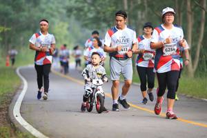 BIB: 413, 6254, 6522, 
                            <button type="button" onclick="openModal(6356631)" class="btn btn-primary btn-sm float-right btn-popup" data-toggle="modal" data-target=".modal-high-quality">
                        <i class="fas fa-shopping-cart"></i> Add to Cart
                    </button>
                                            <button type="button" onclick="isThisMe(6356631, true)" class="btn btn-success btn-sm float-right btn-popup btn-isme hidden" data-toggle="tooltip" data-placement="bottom" title="นี่คือรูปของคุณใช่ไหม คลิกที่นี่เพื่อเอาเข้าอัลบั้ม">
                        <i class="fas fa-plus"></i> Add to album
                    </button>
                    <button type="button" onclick="isThisMe(6356631, false)" class="btn btn-warning btn-sm float-right btn-popup btn-isnotme hidden">
                        <i class="fas fa-ban"></i> Remove from album
                    </button>