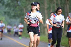 BIB: 7161, 5918
                            <button type="button" onclick="openModal(6356590)" class="btn btn-primary btn-sm float-right btn-popup" data-toggle="modal" data-target=".modal-high-quality">
                        <i class="fas fa-shopping-cart"></i> Add to Cart
                    </button>
                                            <button type="button" onclick="isThisMe(6356590, true)" class="btn btn-success btn-sm float-right btn-popup btn-isme hidden" data-toggle="tooltip" data-placement="bottom" title="นี่คือรูปของคุณใช่ไหม คลิกที่นี่เพื่อเอาเข้าอัลบั้ม">
                        <i class="fas fa-plus"></i> Add to album
                    </button>
                    <button type="button" onclick="isThisMe(6356590, false)" class="btn btn-warning btn-sm float-right btn-popup btn-isnotme hidden">
                        <i class="fas fa-ban"></i> Remove from album
                    </button>