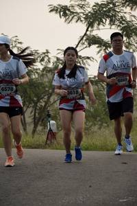 BIB: 6578, 6869, 5618
                            <button type="button" onclick="openModal(6361614)" class="btn btn-primary btn-sm float-right btn-popup" data-toggle="modal" data-target=".modal-high-quality">
                        <i class="fas fa-shopping-cart"></i> Add to Cart
                    </button>
                                            <button type="button" onclick="isThisMe(6361614, true)" class="btn btn-success btn-sm float-right btn-popup btn-isme hidden" data-toggle="tooltip" data-placement="bottom" title="นี่คือรูปของคุณใช่ไหม คลิกที่นี่เพื่อเอาเข้าอัลบั้ม">
                        <i class="fas fa-plus"></i> Add to album
                    </button>
                    <button type="button" onclick="isThisMe(6361614, false)" class="btn btn-warning btn-sm float-right btn-popup btn-isnotme hidden">
                        <i class="fas fa-ban"></i> Remove from album
                    </button>