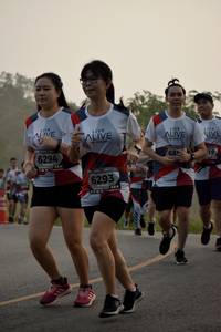 BIB: 6294, 685, 6293
                            <button type="button" onclick="openModal(6361981)" class="btn btn-primary btn-sm float-right btn-popup" data-toggle="modal" data-target=".modal-high-quality">
                        <i class="fas fa-shopping-cart"></i> Add to Cart
                    </button>
                                            <button type="button" onclick="isThisMe(6361981, true)" class="btn btn-success btn-sm float-right btn-popup btn-isme hidden" data-toggle="tooltip" data-placement="bottom" title="นี่คือรูปของคุณใช่ไหม คลิกที่นี่เพื่อเอาเข้าอัลบั้ม">
                        <i class="fas fa-plus"></i> Add to album
                    </button>
                    <button type="button" onclick="isThisMe(6361981, false)" class="btn btn-warning btn-sm float-right btn-popup btn-isnotme hidden">
                        <i class="fas fa-ban"></i> Remove from album
                    </button>