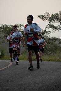 BIB: 2705, 2136, 2753
                            <button type="button" onclick="openModal(6367818)" class="btn btn-primary btn-sm float-right btn-popup" data-toggle="modal" data-target=".modal-high-quality">
                        <i class="fas fa-shopping-cart"></i> Add to Cart
                    </button>
                                            <button type="button" onclick="isThisMe(6367818, true)" class="btn btn-success btn-sm float-right btn-popup btn-isme hidden" data-toggle="tooltip" data-placement="bottom" title="นี่คือรูปของคุณใช่ไหม คลิกที่นี่เพื่อเอาเข้าอัลบั้ม">
                        <i class="fas fa-plus"></i> Add to album
                    </button>
                    <button type="button" onclick="isThisMe(6367818, false)" class="btn btn-warning btn-sm float-right btn-popup btn-isnotme hidden">
                        <i class="fas fa-ban"></i> Remove from album
                    </button>