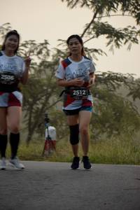 BIB: 2506, 2512
                            <button type="button" onclick="openModal(6366527)" class="btn btn-primary btn-sm float-right btn-popup" data-toggle="modal" data-target=".modal-high-quality">
                        <i class="fas fa-shopping-cart"></i> Add to Cart
                    </button>
                                            <button type="button" onclick="isThisMe(6366527, true)" class="btn btn-success btn-sm float-right btn-popup btn-isme hidden" data-toggle="tooltip" data-placement="bottom" title="นี่คือรูปของคุณใช่ไหม คลิกที่นี่เพื่อเอาเข้าอัลบั้ม">
                        <i class="fas fa-plus"></i> Add to album
                    </button>
                    <button type="button" onclick="isThisMe(6366527, false)" class="btn btn-warning btn-sm float-right btn-popup btn-isnotme hidden">
                        <i class="fas fa-ban"></i> Remove from album
                    </button>