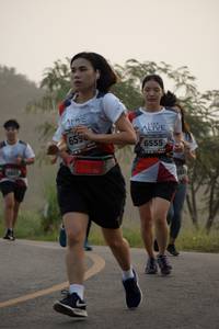 BIB: 659, 6555, 6427, 559
                            <button type="button" onclick="openModal(6361627)" class="btn btn-primary btn-sm float-right btn-popup" data-toggle="modal" data-target=".modal-high-quality">
                        <i class="fas fa-shopping-cart"></i> Add to Cart
                    </button>
                                            <button type="button" onclick="isThisMe(6361627, true)" class="btn btn-success btn-sm float-right btn-popup btn-isme hidden" data-toggle="tooltip" data-placement="bottom" title="นี่คือรูปของคุณใช่ไหม คลิกที่นี่เพื่อเอาเข้าอัลบั้ม">
                        <i class="fas fa-plus"></i> Add to album
                    </button>
                    <button type="button" onclick="isThisMe(6361627, false)" class="btn btn-warning btn-sm float-right btn-popup btn-isnotme hidden">
                        <i class="fas fa-ban"></i> Remove from album
                    </button>