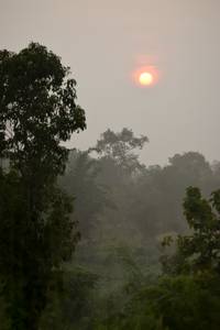 BIB: 
                            <button type="button" onclick="openModal(6363777)" class="btn btn-primary btn-sm float-right btn-popup" data-toggle="modal" data-target=".modal-high-quality">
                        <i class="fas fa-shopping-cart"></i> Add to Cart
                    </button>
                                            <button type="button" onclick="isThisMe(6363777, true)" class="btn btn-success btn-sm float-right btn-popup btn-isme hidden" data-toggle="tooltip" data-placement="bottom" title="นี่คือรูปของคุณใช่ไหม คลิกที่นี่เพื่อเอาเข้าอัลบั้ม">
                        <i class="fas fa-plus"></i> Add to album
                    </button>
                    <button type="button" onclick="isThisMe(6363777, false)" class="btn btn-warning btn-sm float-right btn-popup btn-isnotme hidden">
                        <i class="fas fa-ban"></i> Remove from album
                    </button>