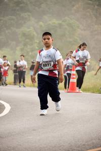 BIB: 6351, 6971
                            <button type="button" onclick="openModal(6363213)" class="btn btn-primary btn-sm float-right btn-popup" data-toggle="modal" data-target=".modal-high-quality">
                        <i class="fas fa-shopping-cart"></i> Add to Cart
                    </button>
                                            <button type="button" onclick="isThisMe(6363213, true)" class="btn btn-success btn-sm float-right btn-popup btn-isme hidden" data-toggle="tooltip" data-placement="bottom" title="นี่คือรูปของคุณใช่ไหม คลิกที่นี่เพื่อเอาเข้าอัลบั้ม">
                        <i class="fas fa-plus"></i> Add to album
                    </button>
                    <button type="button" onclick="isThisMe(6363213, false)" class="btn btn-warning btn-sm float-right btn-popup btn-isnotme hidden">
                        <i class="fas fa-ban"></i> Remove from album
                    </button>