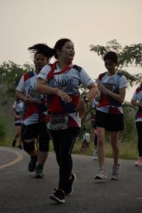 BIB: 7010, 6906
                            <button type="button" onclick="openModal(6362731)" class="btn btn-primary btn-sm float-right btn-popup" data-toggle="modal" data-target=".modal-high-quality">
                        <i class="fas fa-shopping-cart"></i> Add to Cart
                    </button>
                                            <button type="button" onclick="isThisMe(6362731, true)" class="btn btn-success btn-sm float-right btn-popup btn-isme hidden" data-toggle="tooltip" data-placement="bottom" title="นี่คือรูปของคุณใช่ไหม คลิกที่นี่เพื่อเอาเข้าอัลบั้ม">
                        <i class="fas fa-plus"></i> Add to album
                    </button>
                    <button type="button" onclick="isThisMe(6362731, false)" class="btn btn-warning btn-sm float-right btn-popup btn-isnotme hidden">
                        <i class="fas fa-ban"></i> Remove from album
                    </button>