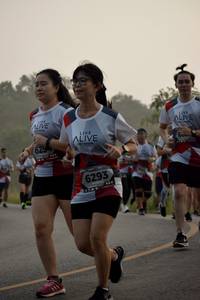 BIB: 629, 6293
                            <button type="button" onclick="openModal(6361982)" class="btn btn-primary btn-sm float-right btn-popup" data-toggle="modal" data-target=".modal-high-quality">
                        <i class="fas fa-shopping-cart"></i> Add to Cart
                    </button>
                                            <button type="button" onclick="isThisMe(6361982, true)" class="btn btn-success btn-sm float-right btn-popup btn-isme hidden" data-toggle="tooltip" data-placement="bottom" title="นี่คือรูปของคุณใช่ไหม คลิกที่นี่เพื่อเอาเข้าอัลบั้ม">
                        <i class="fas fa-plus"></i> Add to album
                    </button>
                    <button type="button" onclick="isThisMe(6361982, false)" class="btn btn-warning btn-sm float-right btn-popup btn-isnotme hidden">
                        <i class="fas fa-ban"></i> Remove from album
                    </button>