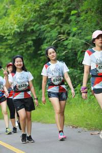 BIB: 6309, 6339
                            <button type="button" onclick="openModal(6343320)" class="btn btn-primary btn-sm float-right btn-popup" data-toggle="modal" data-target=".modal-high-quality">
                        <i class="fas fa-shopping-cart"></i> Add to Cart
                    </button>
                                            <button type="button" onclick="isThisMe(6343320, true)" class="btn btn-success btn-sm float-right btn-popup btn-isme hidden" data-toggle="tooltip" data-placement="bottom" title="นี่คือรูปของคุณใช่ไหม คลิกที่นี่เพื่อเอาเข้าอัลบั้ม">
                        <i class="fas fa-plus"></i> Add to album
                    </button>
                    <button type="button" onclick="isThisMe(6343320, false)" class="btn btn-warning btn-sm float-right btn-popup btn-isnotme hidden">
                        <i class="fas fa-ban"></i> Remove from album
                    </button>