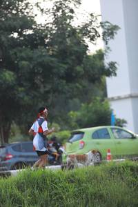 BIB: 
                            <button type="button" onclick="openModal(6342134)" class="btn btn-primary btn-sm float-right btn-popup" data-toggle="modal" data-target=".modal-high-quality">
                        <i class="fas fa-shopping-cart"></i> Add to Cart
                    </button>
                                            <button type="button" onclick="isThisMe(6342134, true)" class="btn btn-success btn-sm float-right btn-popup btn-isme hidden" data-toggle="tooltip" data-placement="bottom" title="นี่คือรูปของคุณใช่ไหม คลิกที่นี่เพื่อเอาเข้าอัลบั้ม">
                        <i class="fas fa-plus"></i> Add to album
                    </button>
                    <button type="button" onclick="isThisMe(6342134, false)" class="btn btn-warning btn-sm float-right btn-popup btn-isnotme hidden">
                        <i class="fas fa-ban"></i> Remove from album
                    </button>