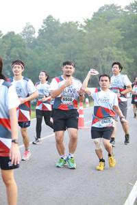 BIB: 658, 6508, 6488
                            <button type="button" onclick="openModal(6352388)" class="btn btn-primary btn-sm float-right btn-popup" data-toggle="modal" data-target=".modal-high-quality">
                        <i class="fas fa-shopping-cart"></i> Add to Cart
                    </button>
                                            <button type="button" onclick="isThisMe(6352388, true)" class="btn btn-success btn-sm float-right btn-popup btn-isme hidden" data-toggle="tooltip" data-placement="bottom" title="นี่คือรูปของคุณใช่ไหม คลิกที่นี่เพื่อเอาเข้าอัลบั้ม">
                        <i class="fas fa-plus"></i> Add to album
                    </button>
                    <button type="button" onclick="isThisMe(6352388, false)" class="btn btn-warning btn-sm float-right btn-popup btn-isnotme hidden">
                        <i class="fas fa-ban"></i> Remove from album
                    </button>