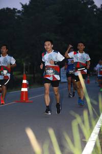 BIB: 2500, 2420, 272
                            <button type="button" onclick="openModal(6351290)" class="btn btn-primary btn-sm float-right btn-popup" data-toggle="modal" data-target=".modal-high-quality">
                        <i class="fas fa-shopping-cart"></i> Add to Cart
                    </button>
                                            <button type="button" onclick="isThisMe(6351290, true)" class="btn btn-success btn-sm float-right btn-popup btn-isme hidden" data-toggle="tooltip" data-placement="bottom" title="นี่คือรูปของคุณใช่ไหม คลิกที่นี่เพื่อเอาเข้าอัลบั้ม">
                        <i class="fas fa-plus"></i> Add to album
                    </button>
                    <button type="button" onclick="isThisMe(6351290, false)" class="btn btn-warning btn-sm float-right btn-popup btn-isnotme hidden">
                        <i class="fas fa-ban"></i> Remove from album
                    </button>