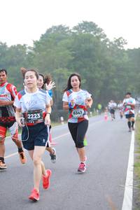 BIB: 6347, 2223
                            <button type="button" onclick="openModal(6348580)" class="btn btn-primary btn-sm float-right btn-popup" data-toggle="modal" data-target=".modal-high-quality">
                        <i class="fas fa-shopping-cart"></i> Add to Cart
                    </button>
                                            <button type="button" onclick="isThisMe(6348580, true)" class="btn btn-success btn-sm float-right btn-popup btn-isme hidden" data-toggle="tooltip" data-placement="bottom" title="นี่คือรูปของคุณใช่ไหม คลิกที่นี่เพื่อเอาเข้าอัลบั้ม">
                        <i class="fas fa-plus"></i> Add to album
                    </button>
                    <button type="button" onclick="isThisMe(6348580, false)" class="btn btn-warning btn-sm float-right btn-popup btn-isnotme hidden">
                        <i class="fas fa-ban"></i> Remove from album
                    </button>