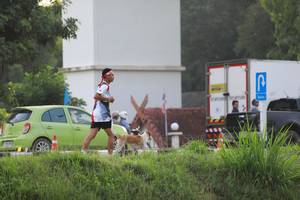 BIB: 
                            <button type="button" onclick="openModal(6342137)" class="btn btn-primary btn-sm float-right btn-popup" data-toggle="modal" data-target=".modal-high-quality">
                        <i class="fas fa-shopping-cart"></i> Add to Cart
                    </button>
                                            <button type="button" onclick="isThisMe(6342137, true)" class="btn btn-success btn-sm float-right btn-popup btn-isme hidden" data-toggle="tooltip" data-placement="bottom" title="นี่คือรูปของคุณใช่ไหม คลิกที่นี่เพื่อเอาเข้าอัลบั้ม">
                        <i class="fas fa-plus"></i> Add to album
                    </button>
                    <button type="button" onclick="isThisMe(6342137, false)" class="btn btn-warning btn-sm float-right btn-popup btn-isnotme hidden">
                        <i class="fas fa-ban"></i> Remove from album
                    </button>