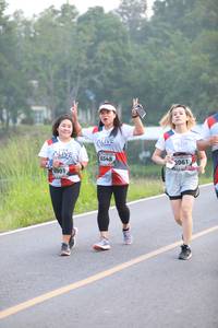 BIB: 6548, 961, 6901
                            <button type="button" onclick="openModal(6351167)" class="btn btn-primary btn-sm float-right btn-popup" data-toggle="modal" data-target=".modal-high-quality">
                        <i class="fas fa-shopping-cart"></i> Add to Cart
                    </button>
                                            <button type="button" onclick="isThisMe(6351167, true)" class="btn btn-success btn-sm float-right btn-popup btn-isme hidden" data-toggle="tooltip" data-placement="bottom" title="นี่คือรูปของคุณใช่ไหม คลิกที่นี่เพื่อเอาเข้าอัลบั้ม">
                        <i class="fas fa-plus"></i> Add to album
                    </button>
                    <button type="button" onclick="isThisMe(6351167, false)" class="btn btn-warning btn-sm float-right btn-popup btn-isnotme hidden">
                        <i class="fas fa-ban"></i> Remove from album
                    </button>