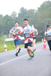 BIB: 2181, 6146, 2213
                            <button type="button" onclick="openModal(6348128)" class="btn btn-primary btn-sm float-right btn-popup" data-toggle="modal" data-target=".modal-high-quality">
                        <i class="fas fa-shopping-cart"></i> Add to Cart
                    </button>
                                            <button type="button" onclick="isThisMe(6348128, true)" class="btn btn-success btn-sm float-right btn-popup btn-isme hidden" data-toggle="tooltip" data-placement="bottom" title="นี่คือรูปของคุณใช่ไหม คลิกที่นี่เพื่อเอาเข้าอัลบั้ม">
                        <i class="fas fa-plus"></i> Add to album
                    </button>
                    <button type="button" onclick="isThisMe(6348128, false)" class="btn btn-warning btn-sm float-right btn-popup btn-isnotme hidden">
                        <i class="fas fa-ban"></i> Remove from album
                    </button>