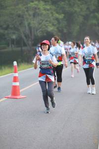 BIB: 6154, 6610
                            <button type="button" onclick="openModal(6352899)" class="btn btn-primary btn-sm float-right btn-popup" data-toggle="modal" data-target=".modal-high-quality">
                        <i class="fas fa-shopping-cart"></i> Add to Cart
                    </button>
                                            <button type="button" onclick="isThisMe(6352899, true)" class="btn btn-success btn-sm float-right btn-popup btn-isme hidden" data-toggle="tooltip" data-placement="bottom" title="นี่คือรูปของคุณใช่ไหม คลิกที่นี่เพื่อเอาเข้าอัลบั้ม">
                        <i class="fas fa-plus"></i> Add to album
                    </button>
                    <button type="button" onclick="isThisMe(6352899, false)" class="btn btn-warning btn-sm float-right btn-popup btn-isnotme hidden">
                        <i class="fas fa-ban"></i> Remove from album
                    </button>