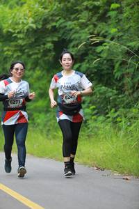 BIB: 624, 6271
                            <button type="button" onclick="openModal(6342972)" class="btn btn-primary btn-sm float-right btn-popup" data-toggle="modal" data-target=".modal-high-quality">
                        <i class="fas fa-shopping-cart"></i> Add to Cart
                    </button>
                                            <button type="button" onclick="isThisMe(6342972, true)" class="btn btn-success btn-sm float-right btn-popup btn-isme hidden" data-toggle="tooltip" data-placement="bottom" title="นี่คือรูปของคุณใช่ไหม คลิกที่นี่เพื่อเอาเข้าอัลบั้ม">
                        <i class="fas fa-plus"></i> Add to album
                    </button>
                    <button type="button" onclick="isThisMe(6342972, false)" class="btn btn-warning btn-sm float-right btn-popup btn-isnotme hidden">
                        <i class="fas fa-ban"></i> Remove from album
                    </button>