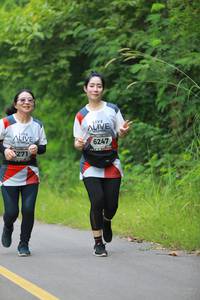 BIB: 6247, 271
                            <button type="button" onclick="openModal(6342973)" class="btn btn-primary btn-sm float-right btn-popup" data-toggle="modal" data-target=".modal-high-quality">
                        <i class="fas fa-shopping-cart"></i> Add to Cart
                    </button>
                                            <button type="button" onclick="isThisMe(6342973, true)" class="btn btn-success btn-sm float-right btn-popup btn-isme hidden" data-toggle="tooltip" data-placement="bottom" title="นี่คือรูปของคุณใช่ไหม คลิกที่นี่เพื่อเอาเข้าอัลบั้ม">
                        <i class="fas fa-plus"></i> Add to album
                    </button>
                    <button type="button" onclick="isThisMe(6342973, false)" class="btn btn-warning btn-sm float-right btn-popup btn-isnotme hidden">
                        <i class="fas fa-ban"></i> Remove from album
                    </button>