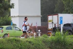 BIB: 
                            <button type="button" onclick="openModal(6342139)" class="btn btn-primary btn-sm float-right btn-popup" data-toggle="modal" data-target=".modal-high-quality">
                        <i class="fas fa-shopping-cart"></i> Add to Cart
                    </button>
                                            <button type="button" onclick="isThisMe(6342139, true)" class="btn btn-success btn-sm float-right btn-popup btn-isme hidden" data-toggle="tooltip" data-placement="bottom" title="นี่คือรูปของคุณใช่ไหม คลิกที่นี่เพื่อเอาเข้าอัลบั้ม">
                        <i class="fas fa-plus"></i> Add to album
                    </button>
                    <button type="button" onclick="isThisMe(6342139, false)" class="btn btn-warning btn-sm float-right btn-popup btn-isnotme hidden">
                        <i class="fas fa-ban"></i> Remove from album
                    </button>