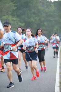 BIB: 6831, 6347, 2223
                            <button type="button" onclick="openModal(6348577)" class="btn btn-primary btn-sm float-right btn-popup" data-toggle="modal" data-target=".modal-high-quality">
                        <i class="fas fa-shopping-cart"></i> Add to Cart
                    </button>
                                            <button type="button" onclick="isThisMe(6348577, true)" class="btn btn-success btn-sm float-right btn-popup btn-isme hidden" data-toggle="tooltip" data-placement="bottom" title="นี่คือรูปของคุณใช่ไหม คลิกที่นี่เพื่อเอาเข้าอัลบั้ม">
                        <i class="fas fa-plus"></i> Add to album
                    </button>
                    <button type="button" onclick="isThisMe(6348577, false)" class="btn btn-warning btn-sm float-right btn-popup btn-isnotme hidden">
                        <i class="fas fa-ban"></i> Remove from album
                    </button>