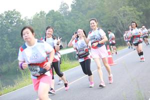 BIB: 6306, 6778, 554
                            <button type="button" onclick="openModal(6352522)" class="btn btn-primary btn-sm float-right btn-popup" data-toggle="modal" data-target=".modal-high-quality">
                        <i class="fas fa-shopping-cart"></i> Add to Cart
                    </button>
                                            <button type="button" onclick="isThisMe(6352522, true)" class="btn btn-success btn-sm float-right btn-popup btn-isme hidden" data-toggle="tooltip" data-placement="bottom" title="นี่คือรูปของคุณใช่ไหม คลิกที่นี่เพื่อเอาเข้าอัลบั้ม">
                        <i class="fas fa-plus"></i> Add to album
                    </button>
                    <button type="button" onclick="isThisMe(6352522, false)" class="btn btn-warning btn-sm float-right btn-popup btn-isnotme hidden">
                        <i class="fas fa-ban"></i> Remove from album
                    </button>